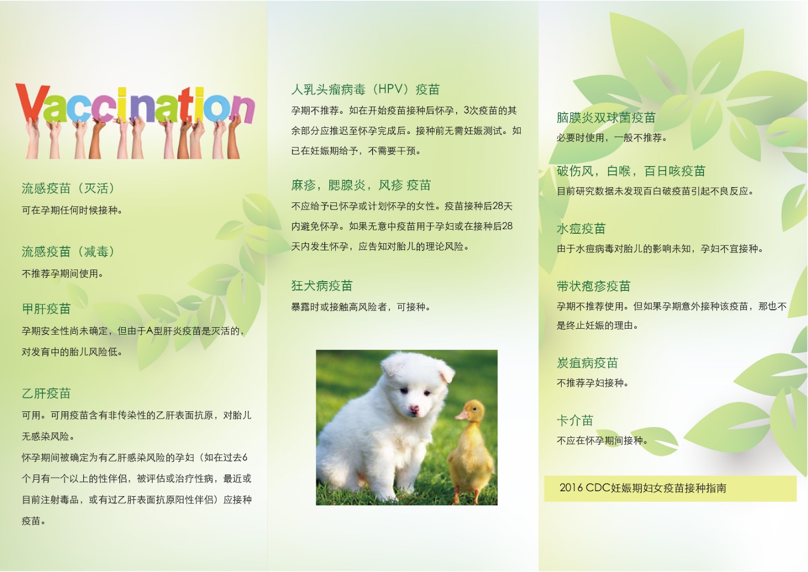 妊娠期疫苗接種.jpg